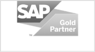 sap partner