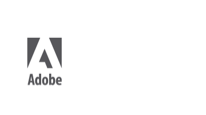 solution partner