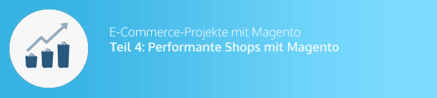 Shop-Entwicklung mit Magento: Umsetzung