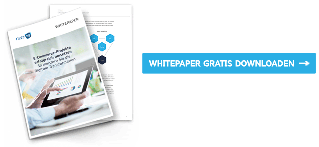 Whitepaper "E-Commerce-Projekte erfolgreich umsetzen"