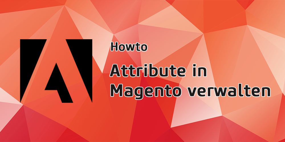 Wie und wo werden in Magento Attribute verwaltet?