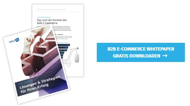 b2b ecommerce whitepaper