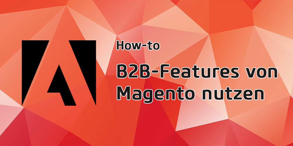 So funktioniert das B2B-Geschäft mit Adobe Commerce (Magento)