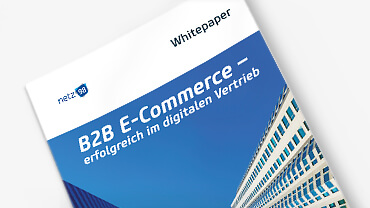 Download B2B Whitepaper