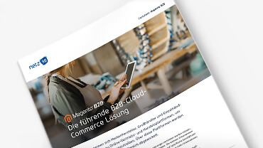 Download Magento B2B Factsheet
