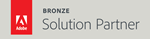 netz98 Adobe Bronze Solution Partner