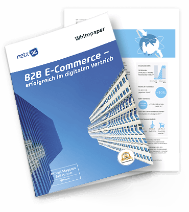 netz98 B2B E-Commerce Whitepaper