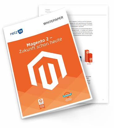 netz98 Magento 2 Whitepaper