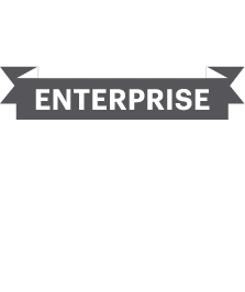 netz98 Magento Enterprise Solution Partner